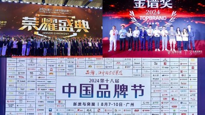 東晟密封件閃耀2024第十八屆中國(guó)品牌節(jié)，榮獲密封技術(shù)“金譜獎(jiǎng)”