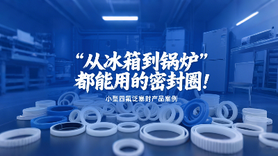 小型四氟泛塞封產(chǎn)品案例丨從冰箱到鍋爐都能用的密封圈！